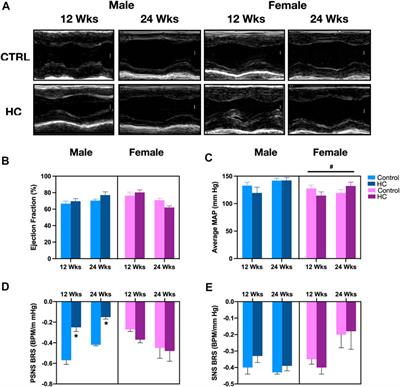 Predictive Capacity of Beat-to-Beat Blood Pressure Variability for Cardioautonomic and Vascular Dysfunction in Early Metabolic Challenge